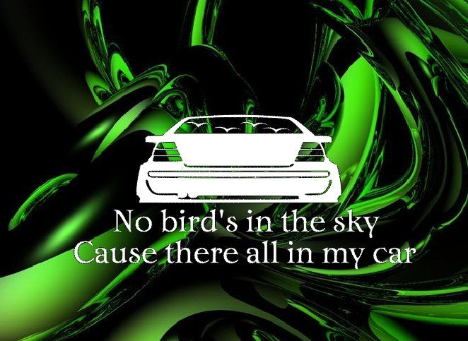 No bird's in the sky